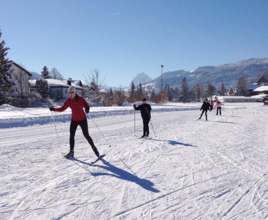 Langlauf-Skating-Klassich-Winter